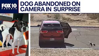 Caught on camera: Dog abandoned by driver in Surprise | FOX 10 Phoenix