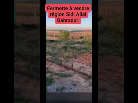 فرمة صغيرة محفظة للب يع نواحي كاموني سيدي علال البحراوي