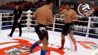MMA VINE №5