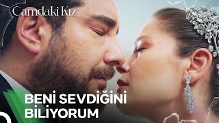 Gerçek Aşkın Öpücüğü Başkadır Camdaki Kız