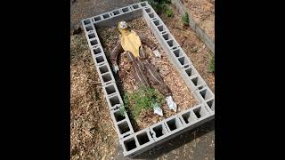 Book of Sand - Soft Sun on Silent Water