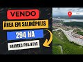 VENDO GRANDE ÁREA EM SALINÓPOLIS PARA GRANDES PROJETOS COM 294 Ha #salinas #salinópolis #areas