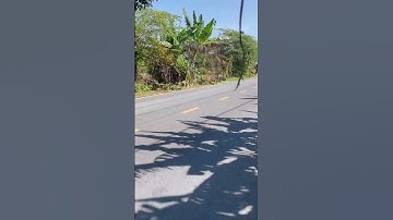 Nền biệt thự Trương Vĩnh Nguyên Cái Răng  Cần Thơ #xuhuong #cairang #bds #nhadatcantho #tintuc