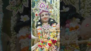 Chandan Yatra Special Darshan | ISKCON Vrindavan |03-05- 2026