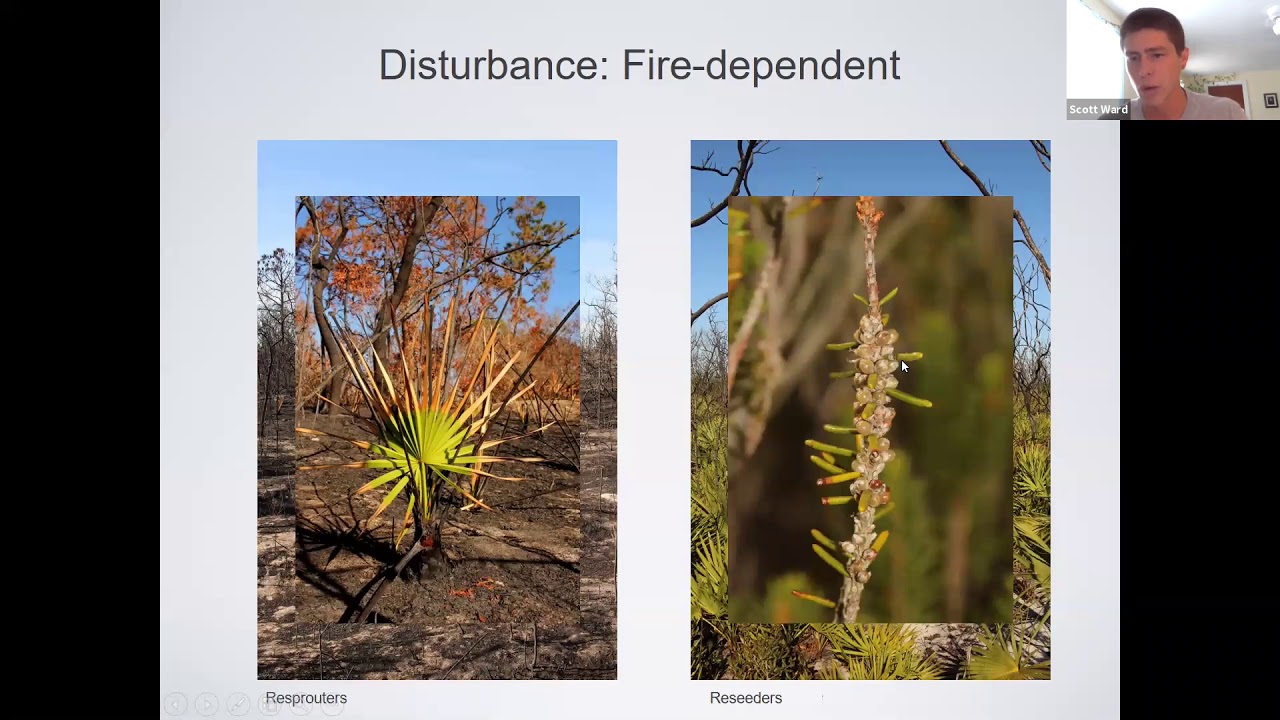 Archbold Seminar Series, "Endemic plants of the Lake Wales Ridge." Presented by Scott Ward