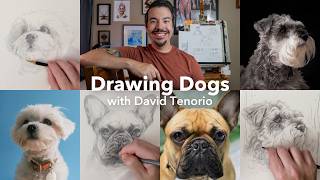 Drawing Dogs with David Tenorio