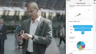 I will create professional power bi dashboard - Visualization Services