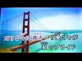 大好きな今井美樹さんの【PRIDE】を歌ってみました。