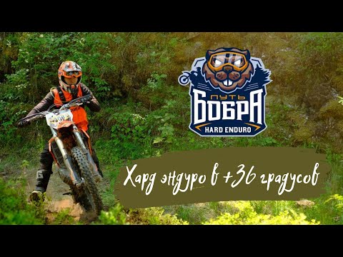 YouTube видео
