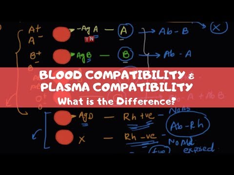 Video: Må plasma samsvare med blodtype?