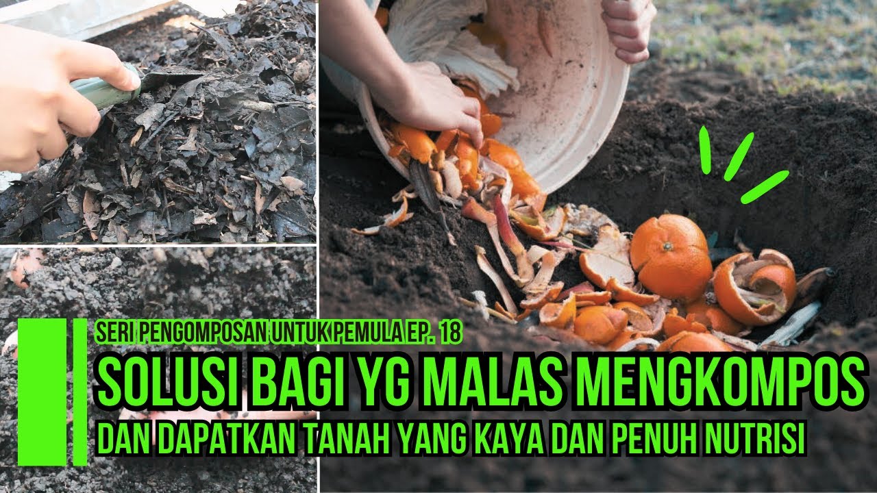 Solusi Bagi Yang Malas Mengkompos dan Dapatkan Tanah yang Kaya dan Penuh Nutrisi