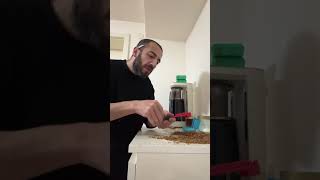 5Am Germany The Calm Before Everything