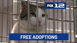Some Oregon shelters celebrate ‘No-Kill Shelter Month’ with free adoptions