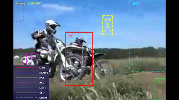 Visual Tracking via Reliable Memories