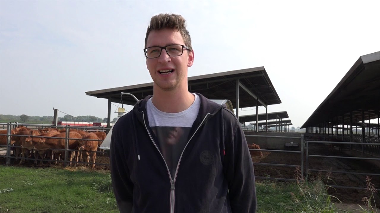 Poseta farmi Salers u Francuskoj sa muzikom