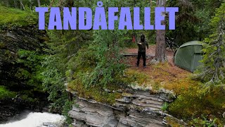 Get that bike and bags up that waterfall // Sweden Tour Ep 15