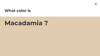 Macadamia color #e1ccaf hex color - Yellow color - Cool color e1ccaf