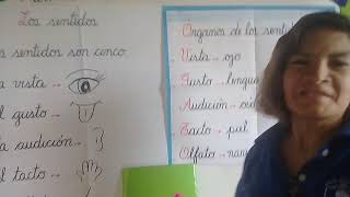 PRIMER GRADO / CIENCIA Y AMBIENTE (LOS SENTIDOS  EL OLFATO)