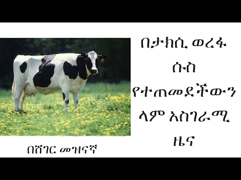 ቪዲዮ: በቤርሙዳ ሳር ላይ ስኮትስ ቦነስ መጠቀም እችላለሁ?