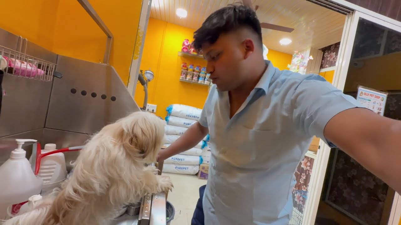 OLLY KA GROOMING & BATHING | DAILY VLOG NO 45