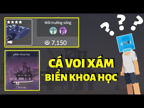 Video: Cá voi xám: sự thật thú vị