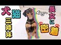 犬猫三姉妹の長女の1日に密着