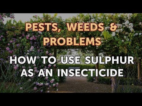 How to Use Sulphur as an Insecticide