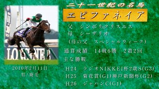 21世紀の名馬　エピファネイア