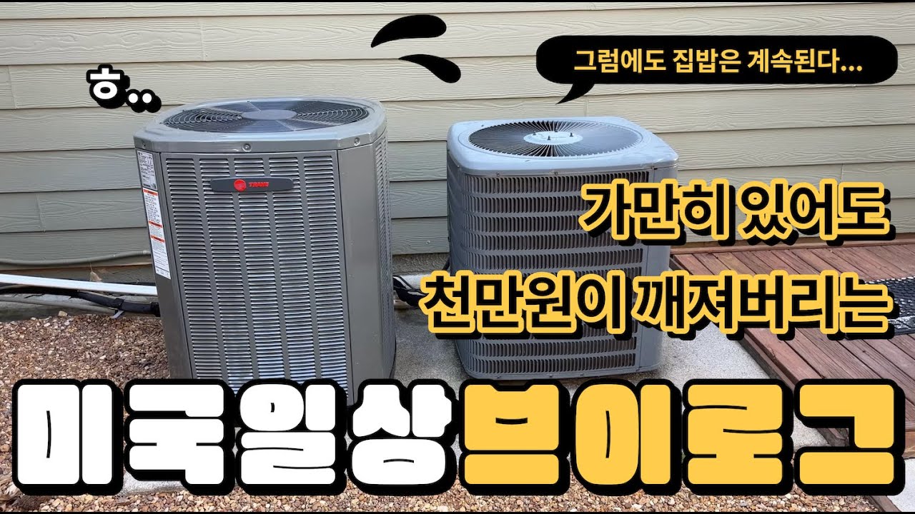 미국일상 브이로그 🇺🇸 가만히 있어도 천만원 사라지는 미국집 🥶 닭발 | 트레이더조스 | 누룽지닭죽 | 로제떡볶이 | 미국집밥