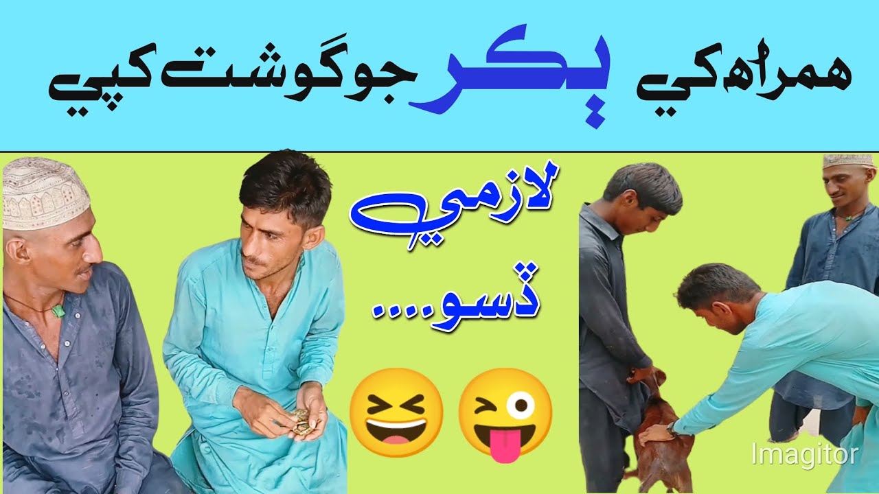 Sindhi Funny - Funny Sindhi 