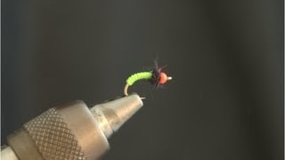 Little Neon Caddis - Fly Tying Lesson Video Tutorial by Curtis Fry