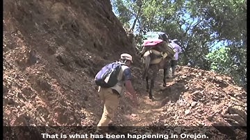 Clearance of mines and explosives in Colombia