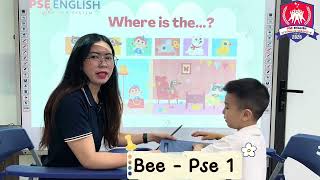 Bee - Pse 1 - Starters