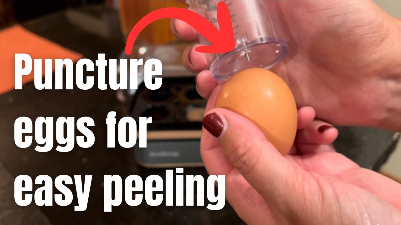 Evoloop Rapid Egg Cooker - Soft, Medium, Hard Boiled, Poacher, Omelet Maker Egg Poacher