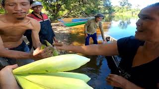 Explore mancing sungai mandai dapat ikan dan masak di alam