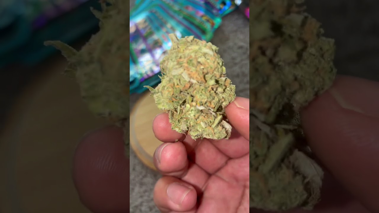 Blue Dream THCA King 