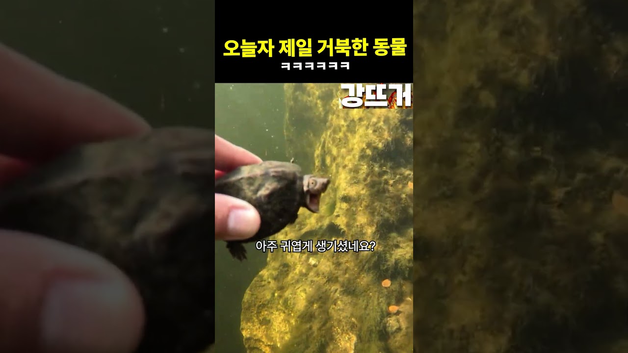 똥 쌀 땐 건드리지 말자