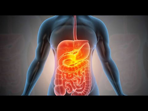 Health Tip | How to Increase Bile Production Naturally? | Dorota Trupp