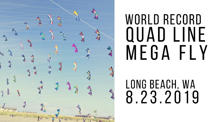 Quad Line Mega Fly - World Record - 101 Kites