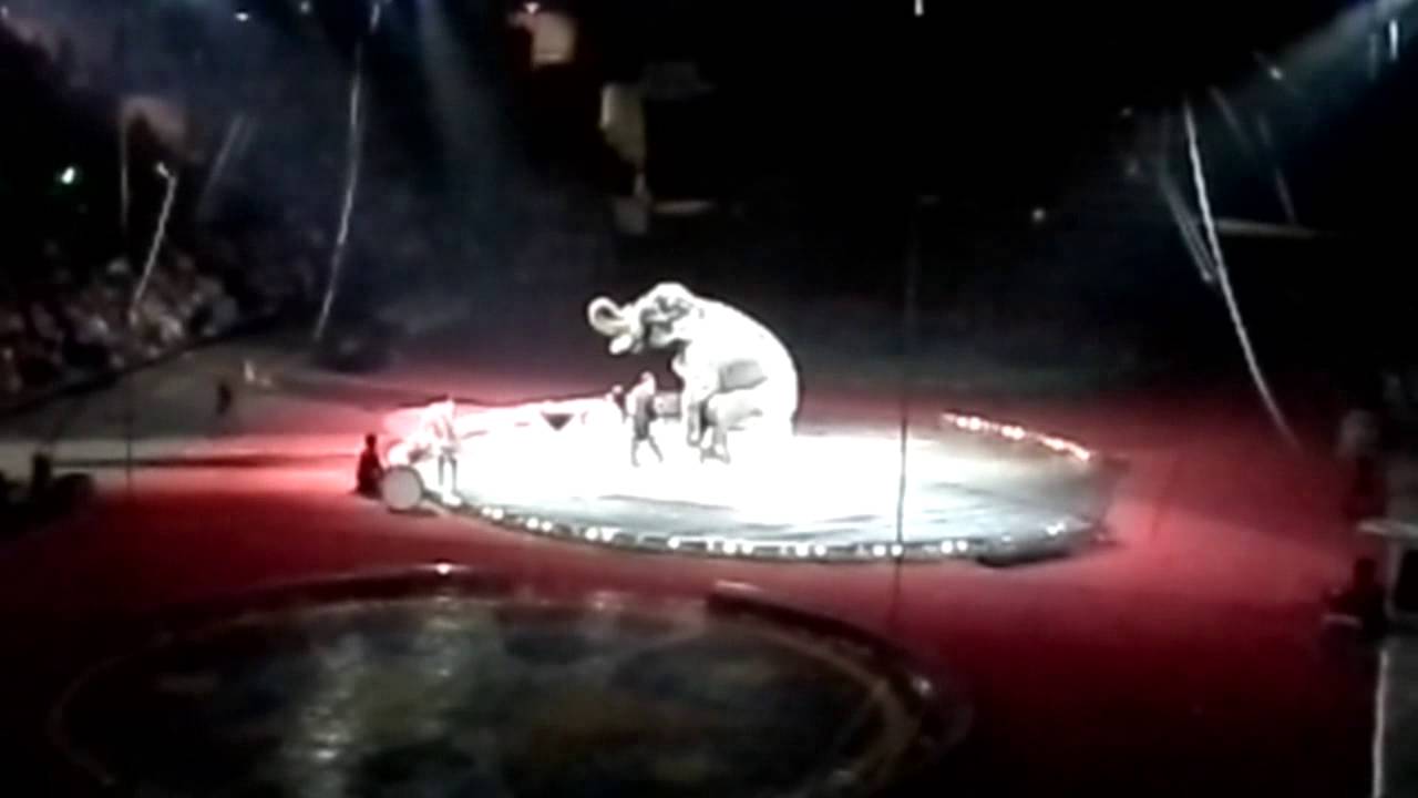Alzafar Shrine Circus.. in San Antonio, Tx. YouTube