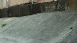 Pivot Bail