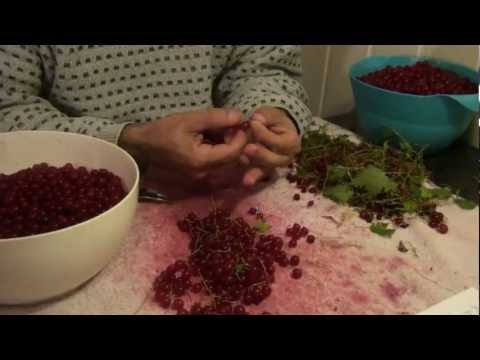 Video: Å Lage Hjemmelaget Vin Av Bær Og Frukt