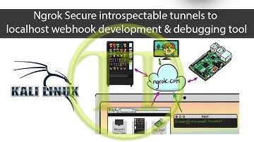 Ngrok Secure introspectable tunnels to localhost webhook development and debugging tool | Tech Tute