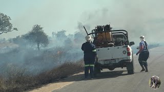 Fire Season At Kruger National Park
