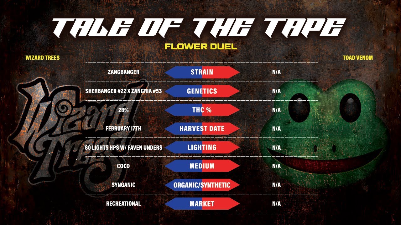 Proper Cup - Rd 1: Toad Venom vs Wizard Trees