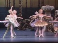 The Sleeping Beauty Ballet Tchaikovsky