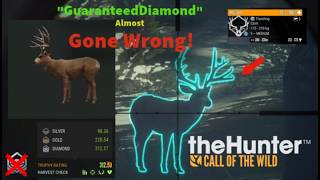 Mule Deer Hunting GONE WRONG in Parque Fernando - Hunter Call Of The Wild #huntercotw