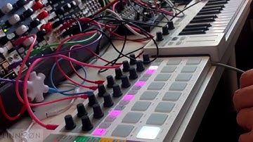 [SPMAAC #1] - Modular Synth Patch Tutorial - Randomised Chords from Braids Through Mutable Rings