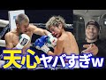 現地で観た天心と普通のボクサーの違い