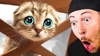 Try Not To Say AWWW Challenge!